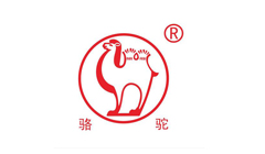 骆驼